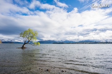 _DSC5304