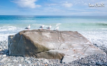 _DSC4494
