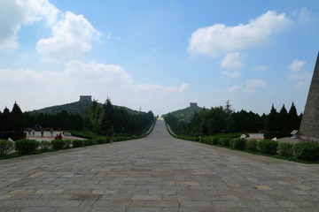 20016