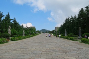 20021