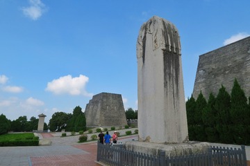 20019