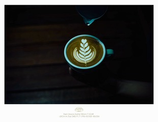 L1004866