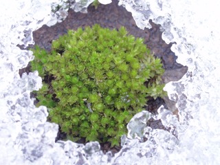P1300286