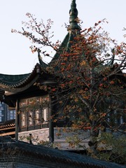 323F701B-AC67-452C-B980-13EF272DEE26/L0/001
