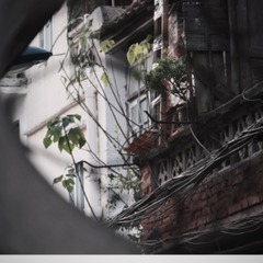 CCE4F07A-B58C-4C2C-B699-86A52C73868A/L0/001