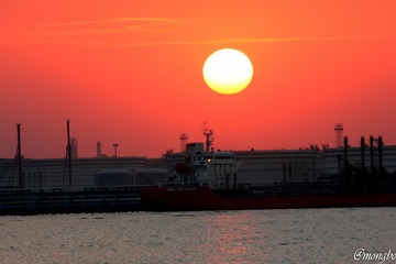 DPP_032