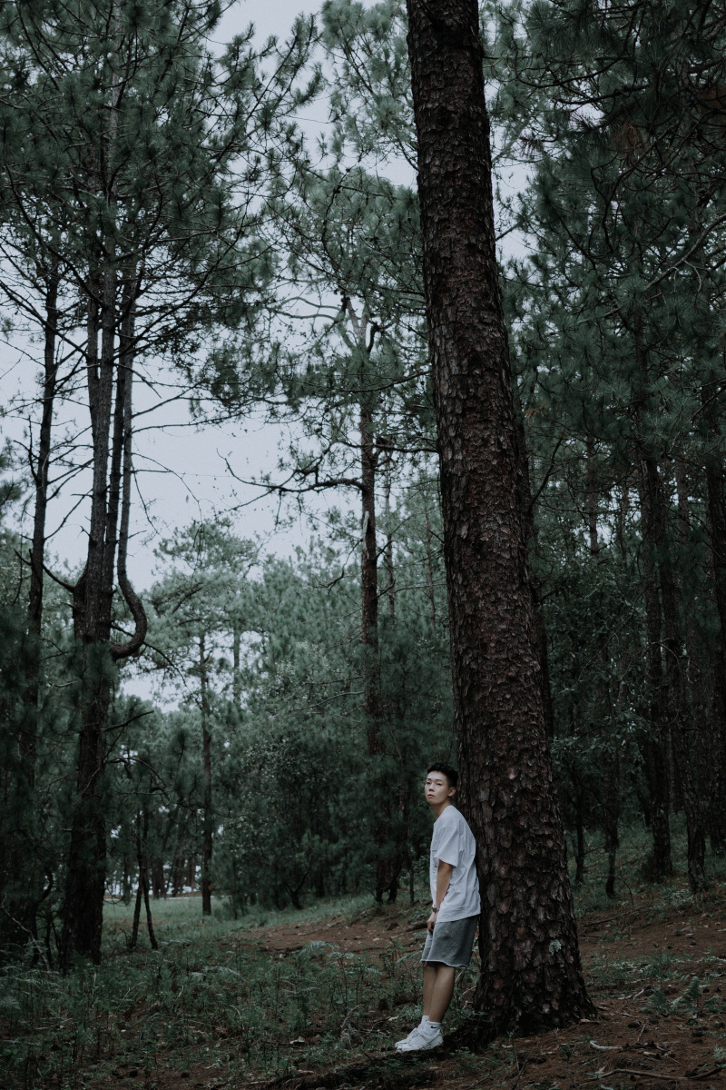 男生树林情绪写真
