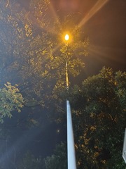 1000033906