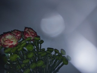 3423027