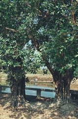 2300840