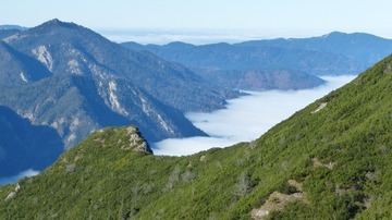 风景
