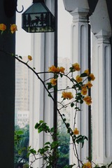 F3C27D27-0F4E-497A-83BD-AAC00D22FFDF/L0/001