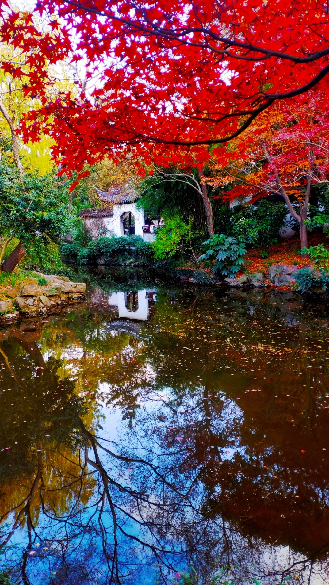 醉美影色秋霞圃2