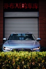 Optional(