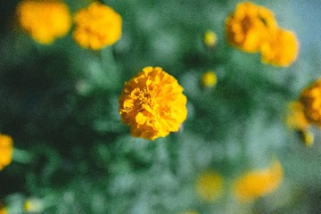 FA3896E5-04F2-4F58-8560-C035C1BC7DBE/L0/001