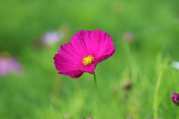 62A79397-5C4F-40B9-9AC5-63C0A00AA362/L0/001