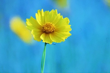 0E280759-F5B1-4835-84B6-7E5EBE2B3856/L0/001