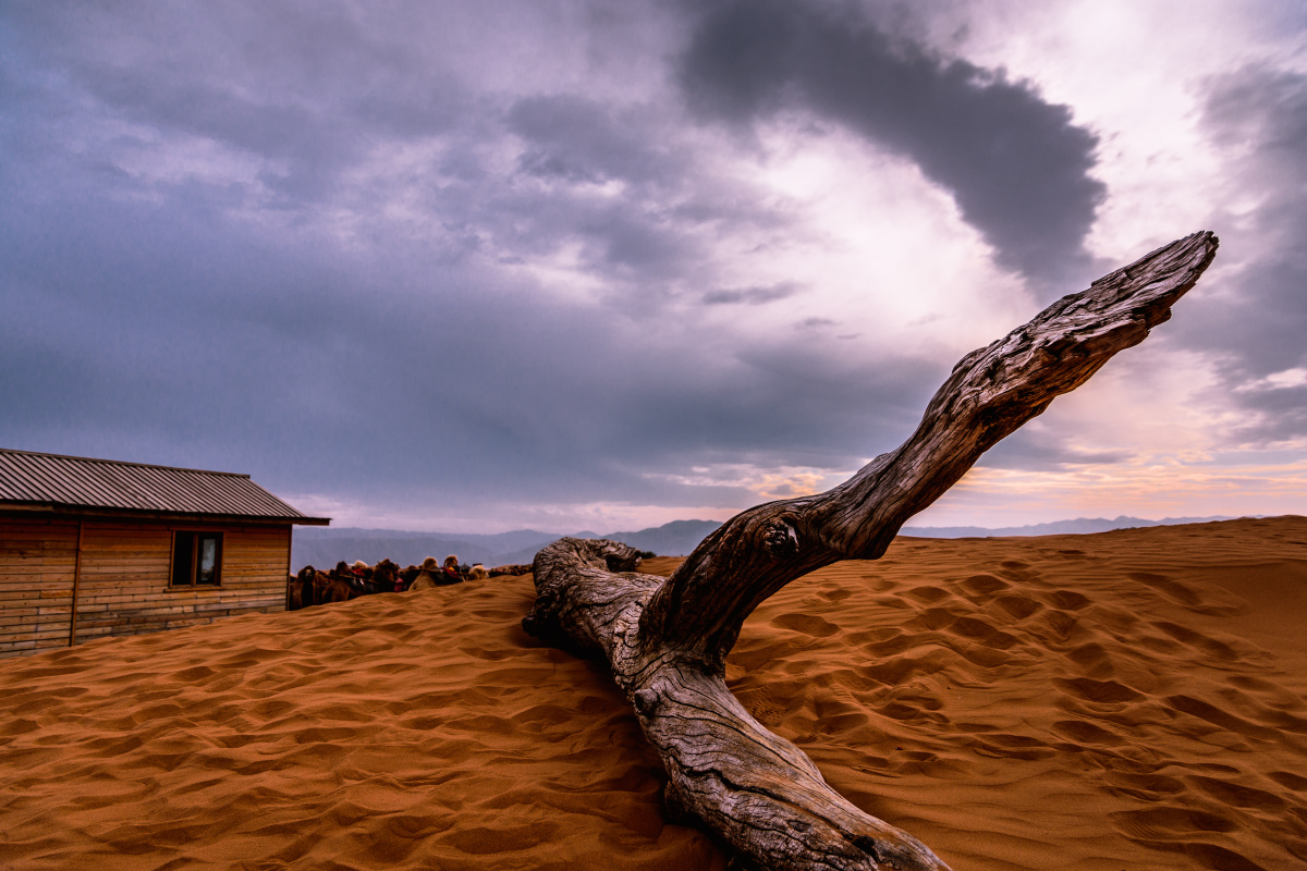 拍摄于宁夏中卫沙坡头景区.