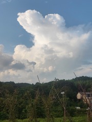1000089192