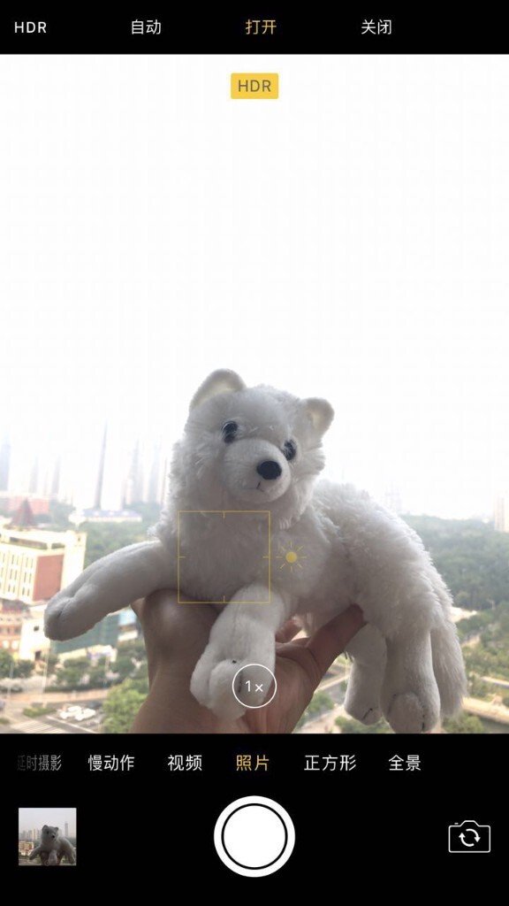 29002021.jpg
