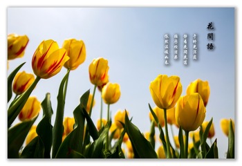 ND6B0647
