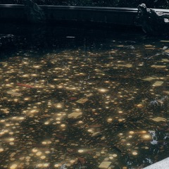 1000081318