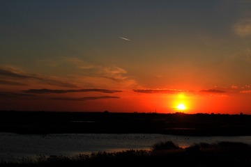 IMG_2860-1