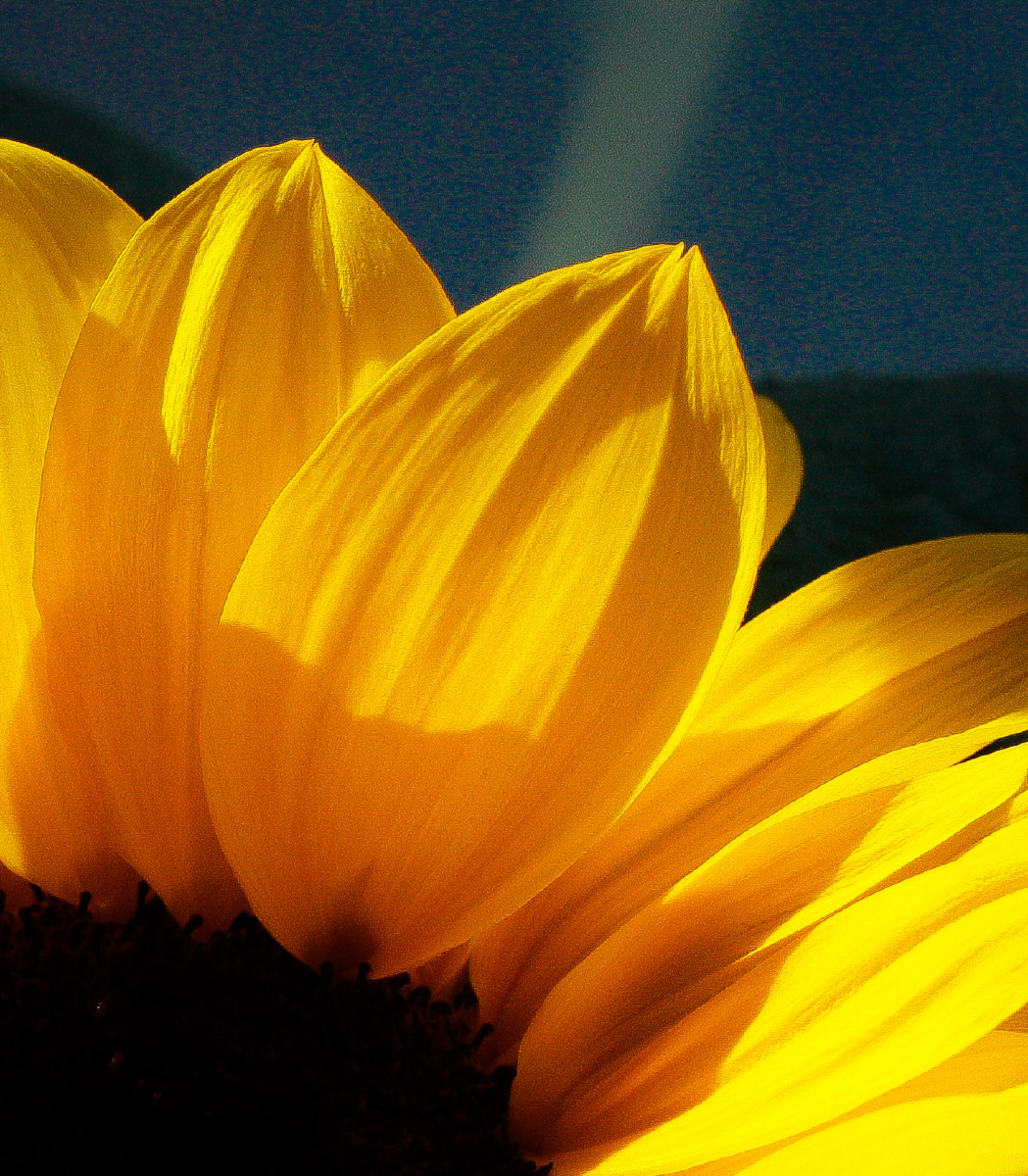 明明亮亮的快乐呀