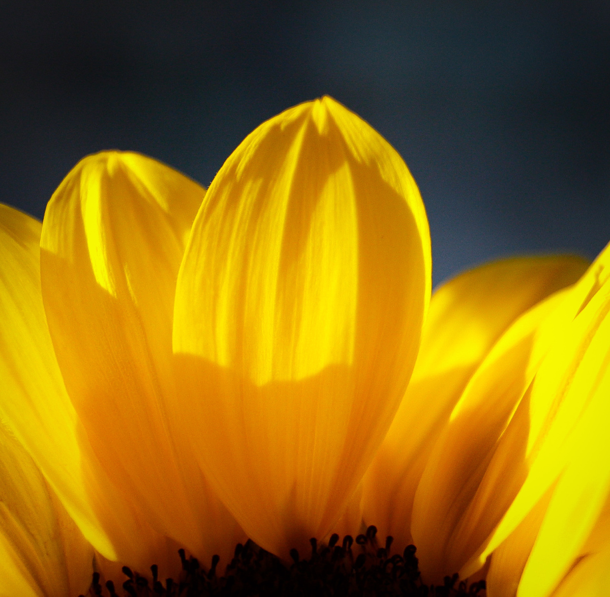 明明亮亮的快乐呀