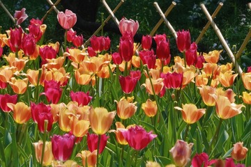 F9925273-BDF3-4D1D-B6D9-15E0A7FBC7DD/L0/001