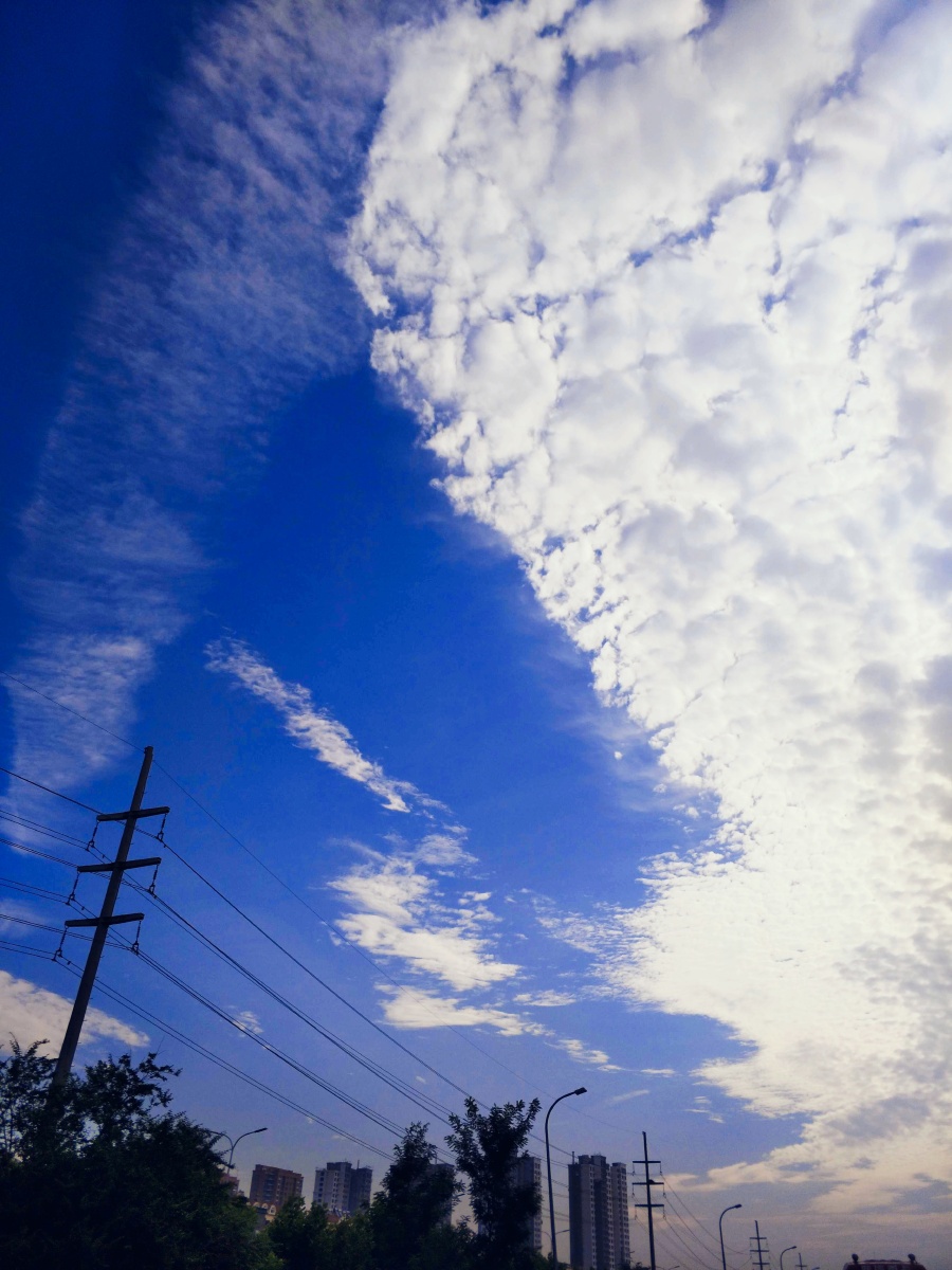 映入眼帘的皆是美好