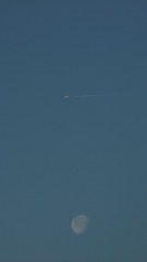743329