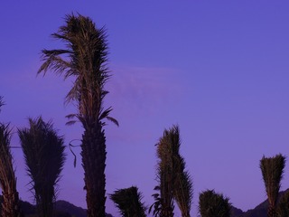 F9C97AC0-AE1C-4C06-A079-9A547C29BAEA/L0/001