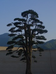 450B1AE3-94B0-493B-AA73-50A779702DA5/L0/001