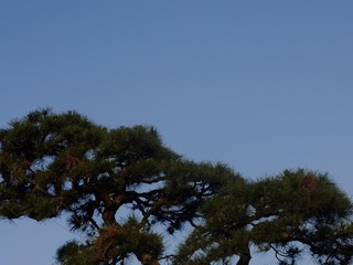 1C6CC4C6-D459-490D-8541-F1744F600075/L0/001
