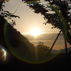 D63E97C5-C563-43CA-9A99-02210BF18613/L0/001
