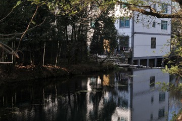 DSC_2922_