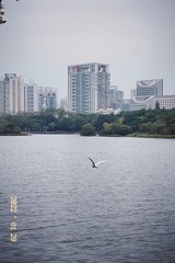 B3CB8004-B958-4039-A1FF-DDA4E3E5357E/L0/001