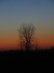 A972A15C-3A40-4F05-9B6E-E8D237DC910B/L0/001