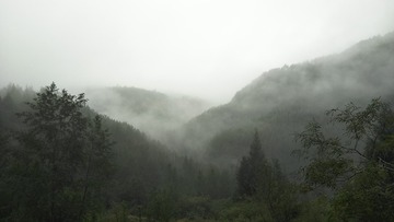2004