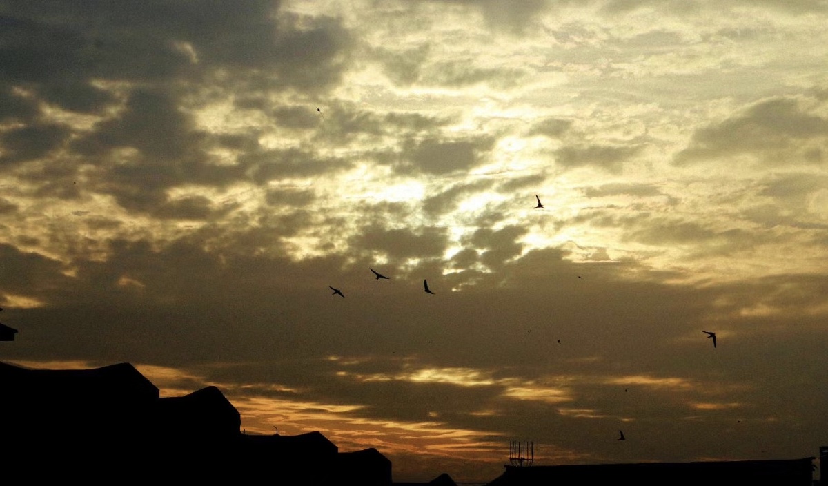 苹果6s国庆随便照的太一般了哈哈