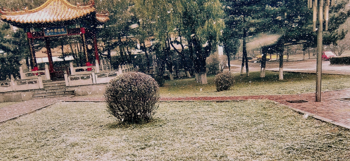 校园初雪 - 落影帝国 - 图虫