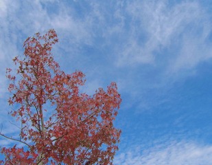 AB830119-21A7-4827-9B33-F441372820C0/L0/001