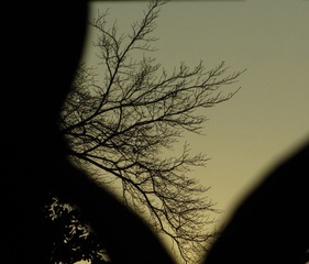 9F7D7650-5104-4B46-9351-064A00A9025A/L0/001