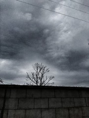 IMG_20161106_072954-01