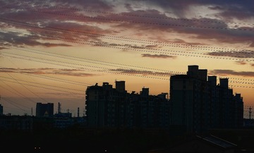 E6C37C08-EAC6-4F7F-A4D5-4A8DB5B81270/L0/001