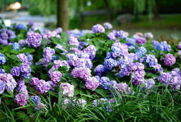F2BD47B2-0D47-4237-BF68-072D898B627E/L0/001