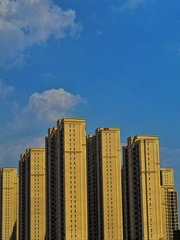 3258062