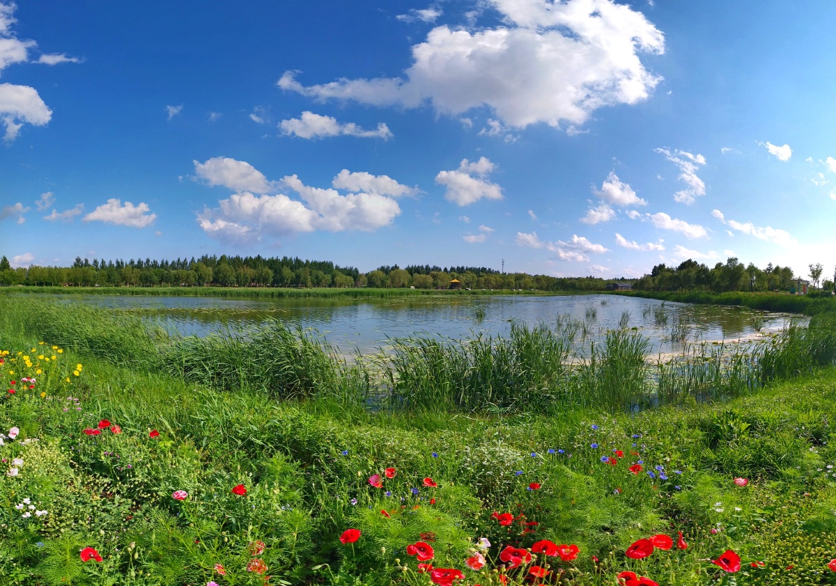盛夏辽宁省沈阳市康平县卧龙湖之夏