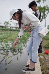 BAI_3914